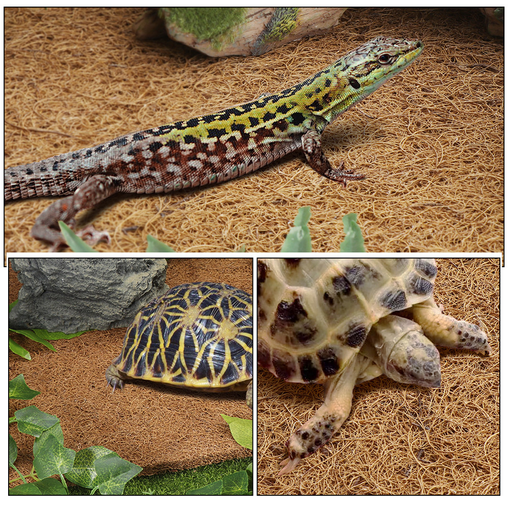 Reptile Carpet Natural Coconut - Substrate Coconut Fiber recensione e prezzo