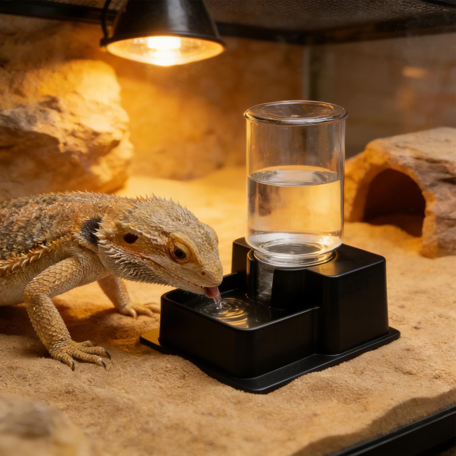Bearded Dragon Water Fountain  - Water Dish Reptile recensione e prezzo