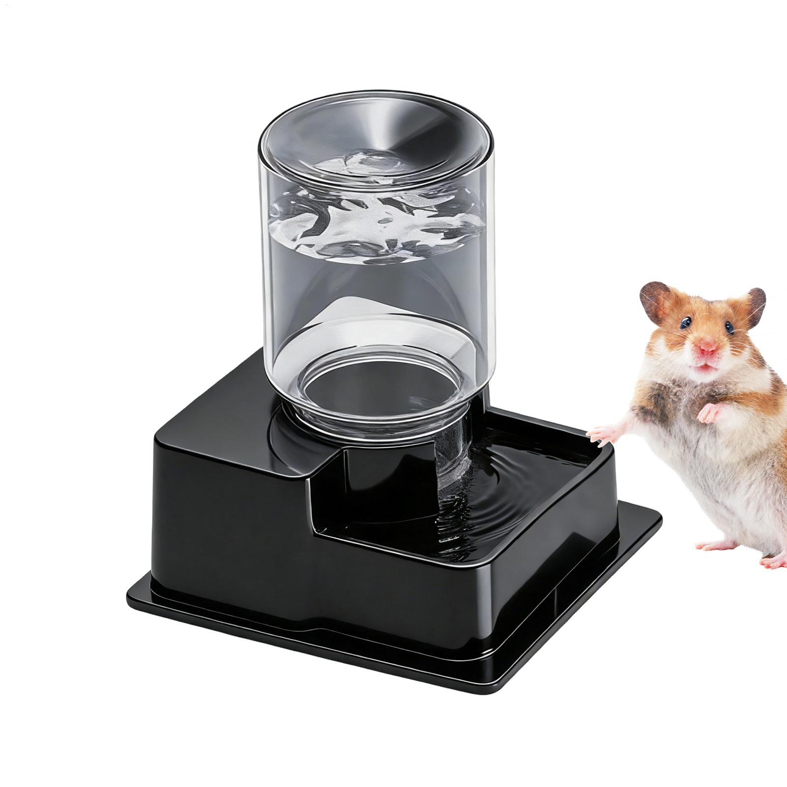 Bearded Dragon Water Fountain  - Water Dish Reptile recensione e prezzo