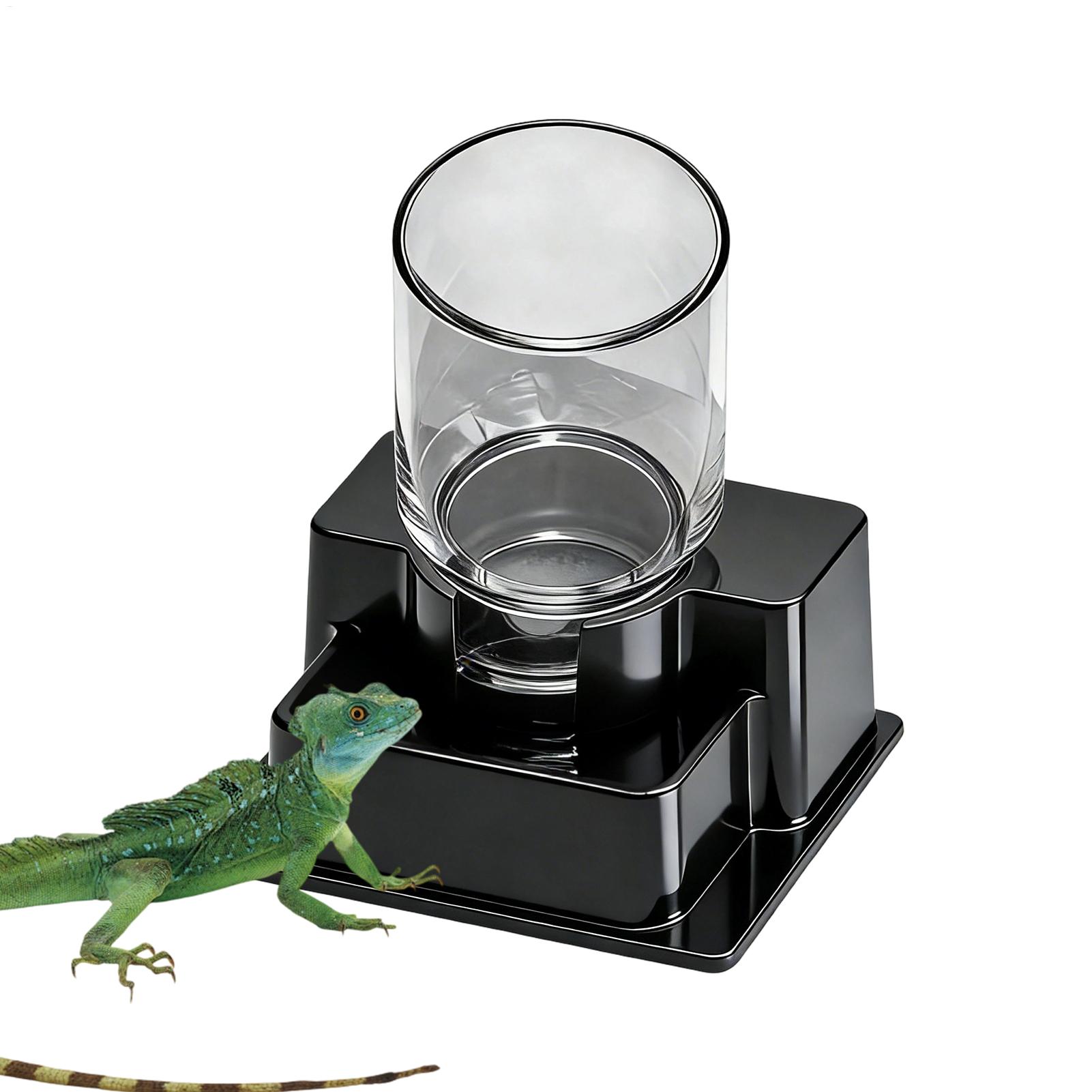 Bearded Dragon Water Fountain  - Water Dish Reptile recensione e prezzo