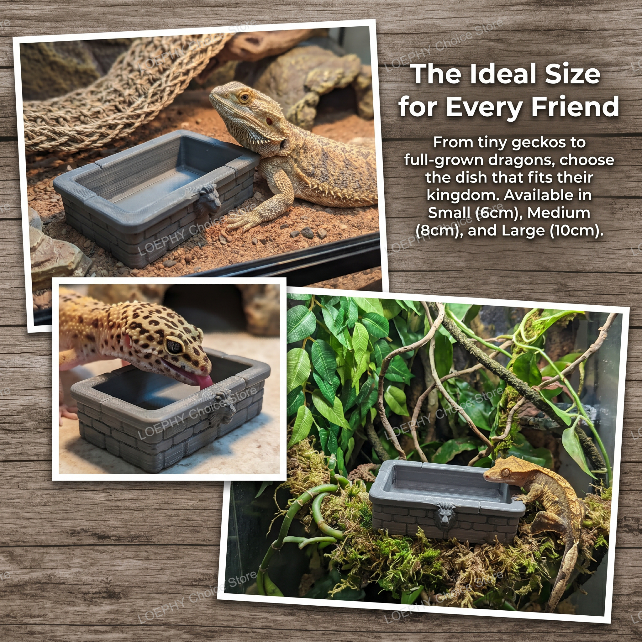 Reptile Water Bowl 3D Printed  - Water Dish Reptile recensione e prezzo