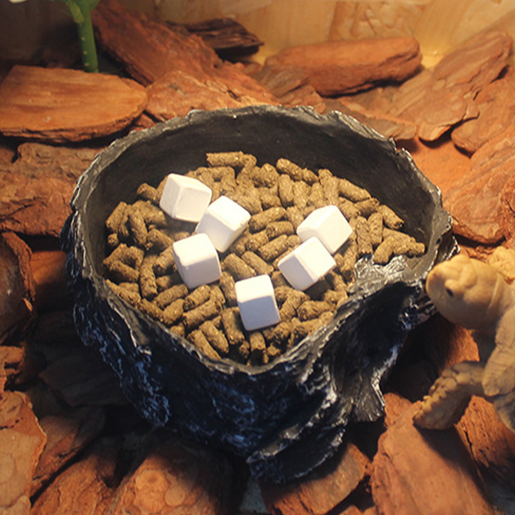 6Pcs Tortoise Tank Calcium Cub - Calcium Powder Reptile recensione e prezzo