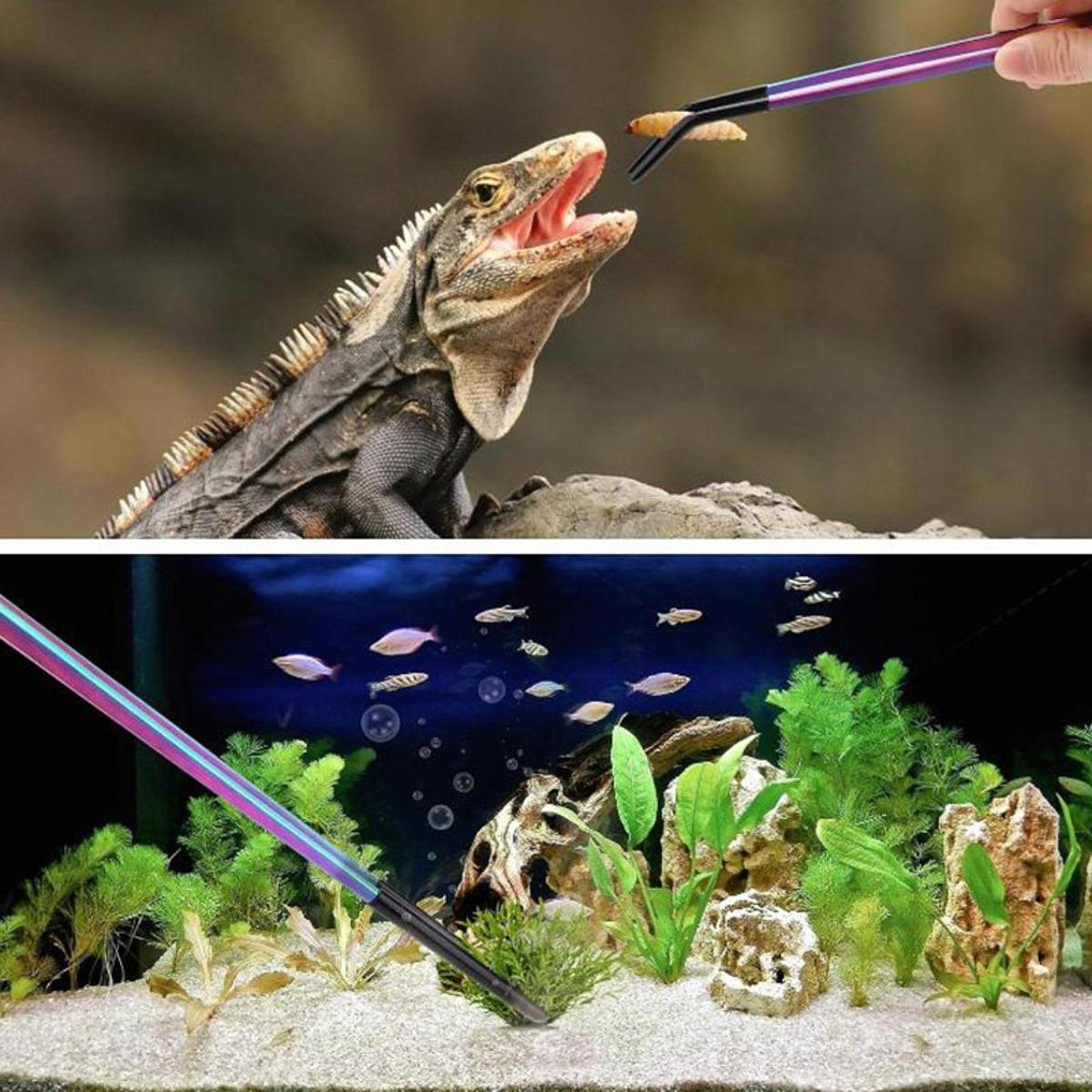 Reptile Feeder Tongs Soft Sili - Feeding Tong Stainless recensione e prezzo