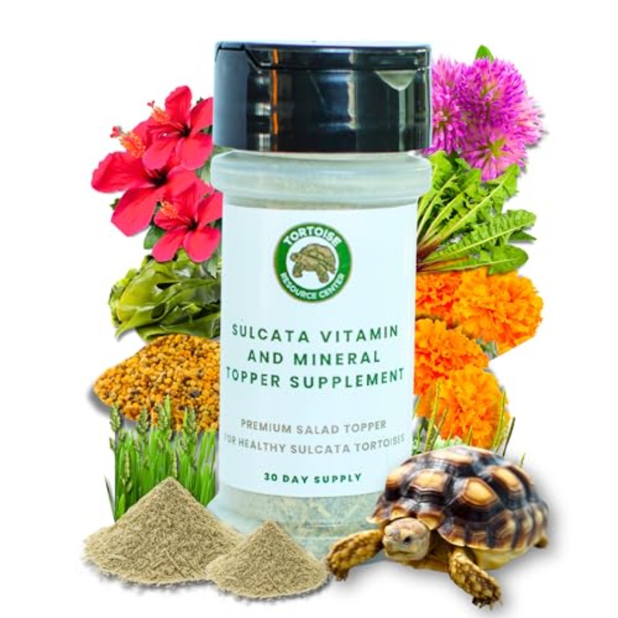 【Spot goods】Sulcata Tortoise C - Calcium Powder Reptile recensione e prezzo