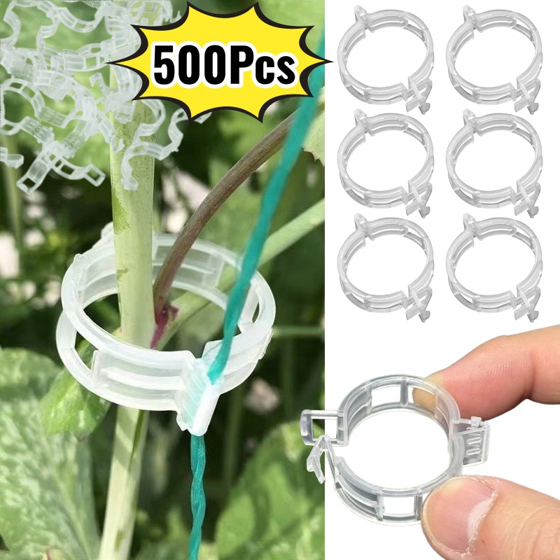 500Pcs Plastic Plant Support C - Vine Climbing Plastic recensione e prezzo