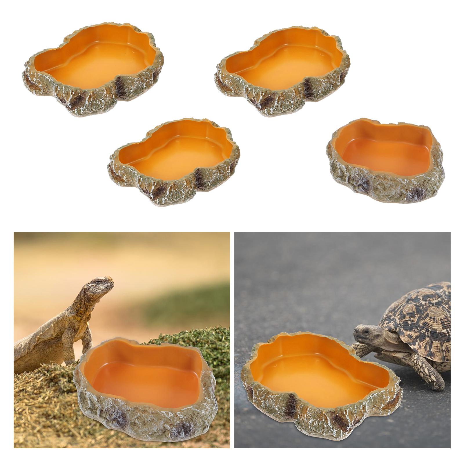 Reptile Water Bowls Decorative - Water Dish Reptile recensione e prezzo