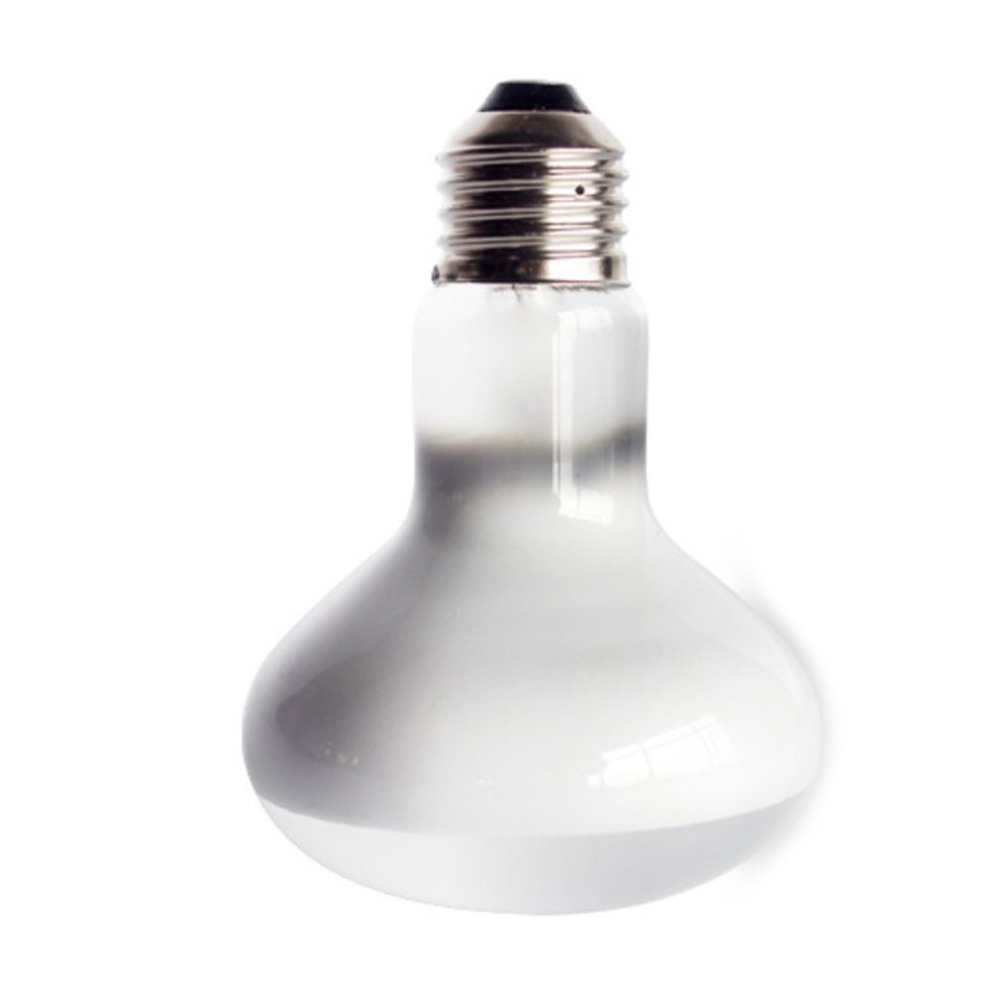Turtle Temperature Controller  - Basking Bulb Halogen recensione e prezzo