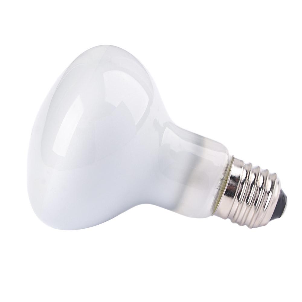 Turtle Temperature Controller  - Basking Bulb Halogen recensione e prezzo