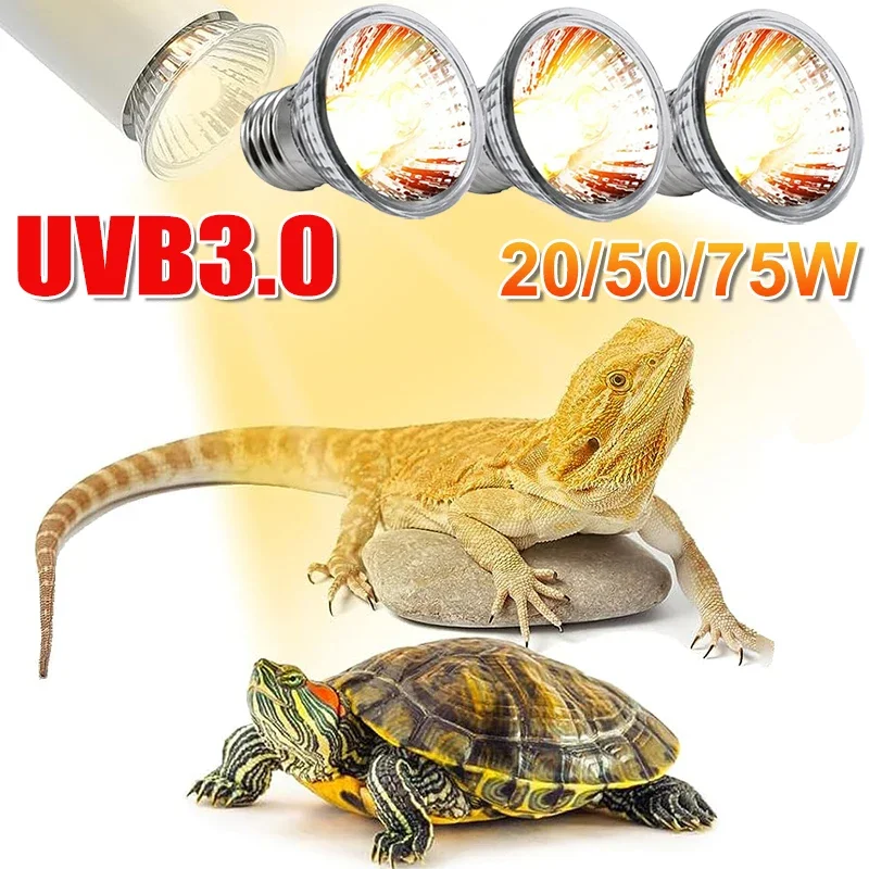 25/50/75W UVB Reptile Lamp Bul - Calcium Powder Reptile recensione e prezzo