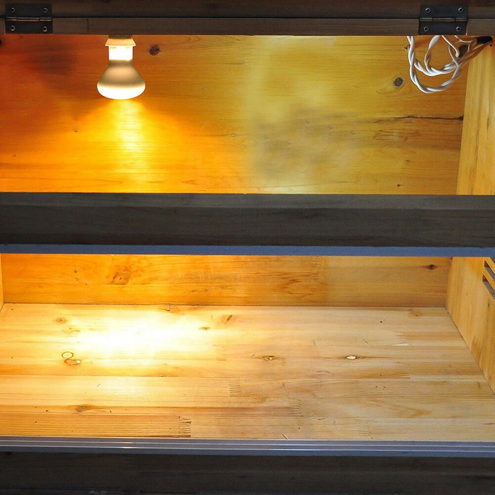Lizard Heater Temperature Cont - Basking Bulb Halogen recensione e prezzo