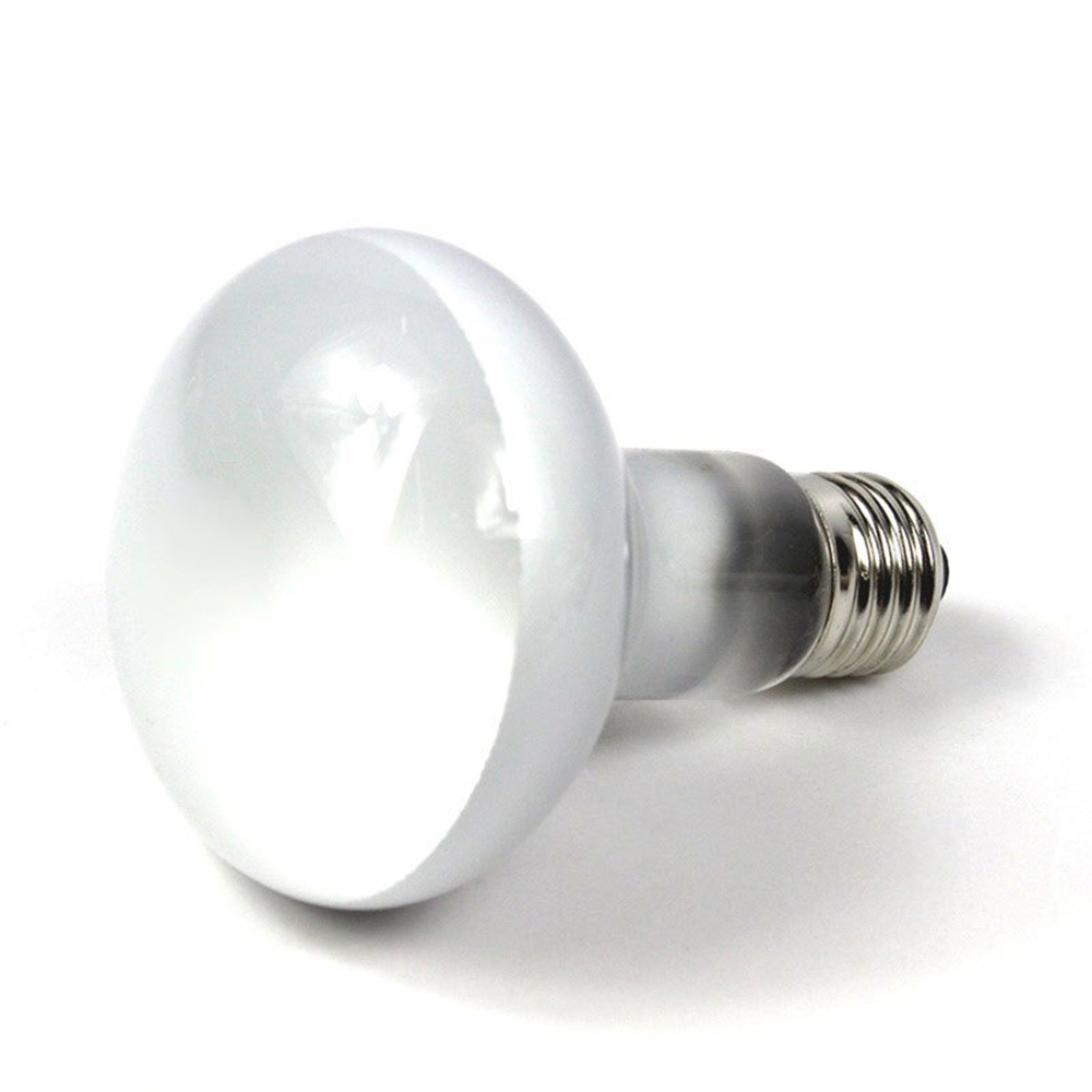 Lizard Heater Temperature Cont - Basking Bulb Halogen recensione e prezzo