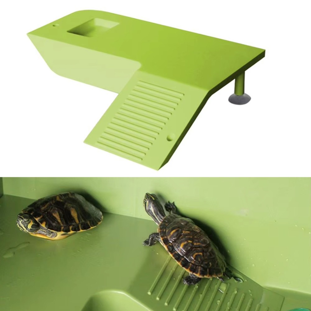 Water Land Slope Box Feeding C - Water Dish Reptile recensione e prezzo