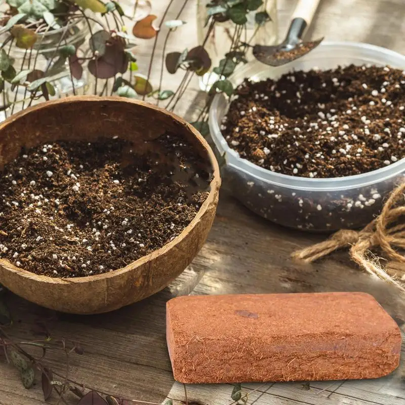 Reptile Coconut Soil Natural C - Substrate Coconut Fiber recensione e prezzo