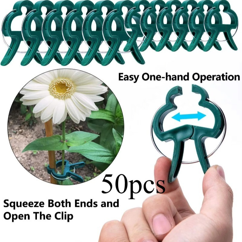 50 Reusable Plant Fixed Clips, - Vine Climbing Plastic recensione e prezzo