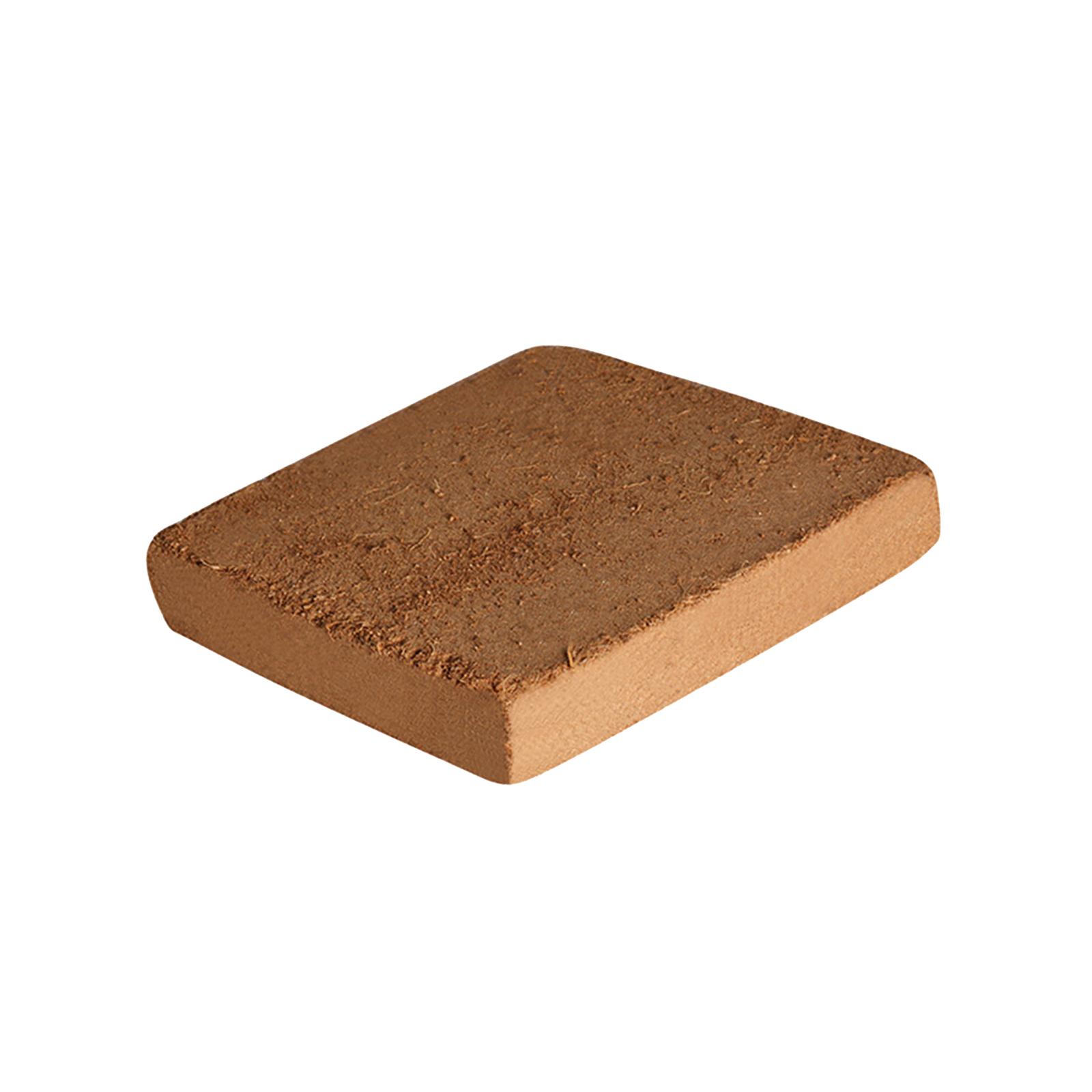 Soil Coconut Fibre Terrarium S - Substrate Coconut Fiber recensione e prezzo
