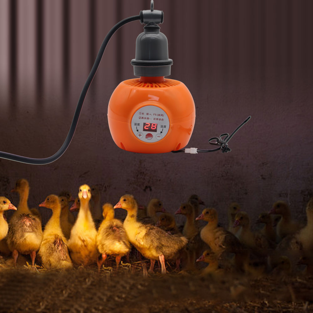 Pet Heater Animal Heating Lamp - Ceramic Heat Emitter recensione e prezzo