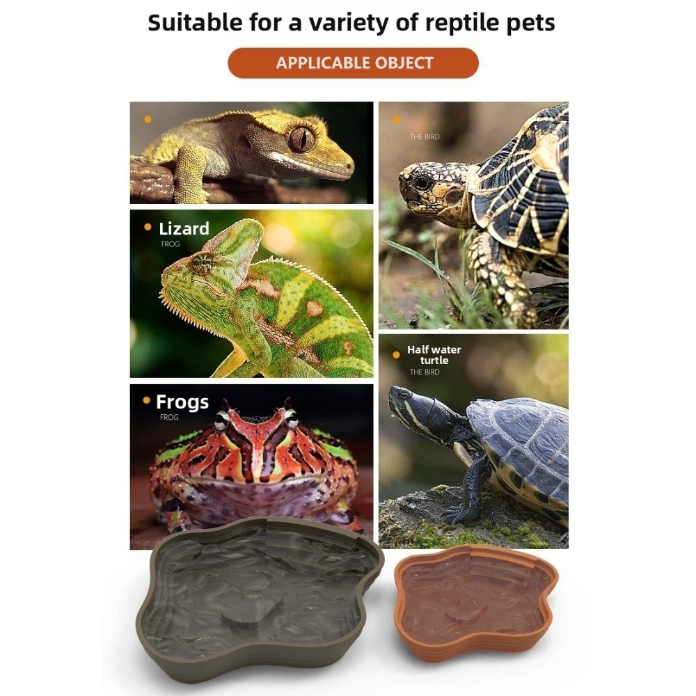 New Plastic Turtle Water Basin - Water Dish Reptile recensione e prezzo