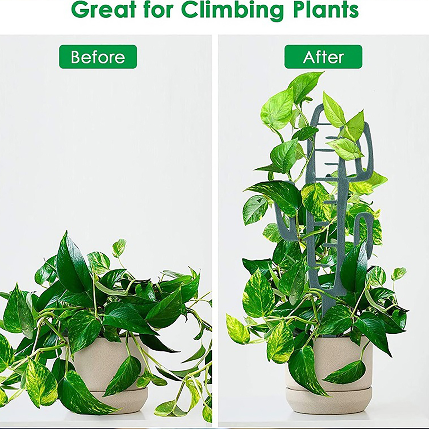 Plant Climbing Support Stand F - Vine Climbing Plastic recensione e prezzo