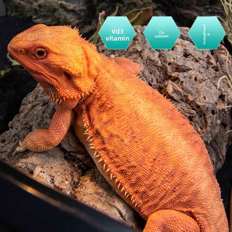 SuperRep Reptile Calcium Pro-V - Vitamin D3 Reptile recensione e prezzo