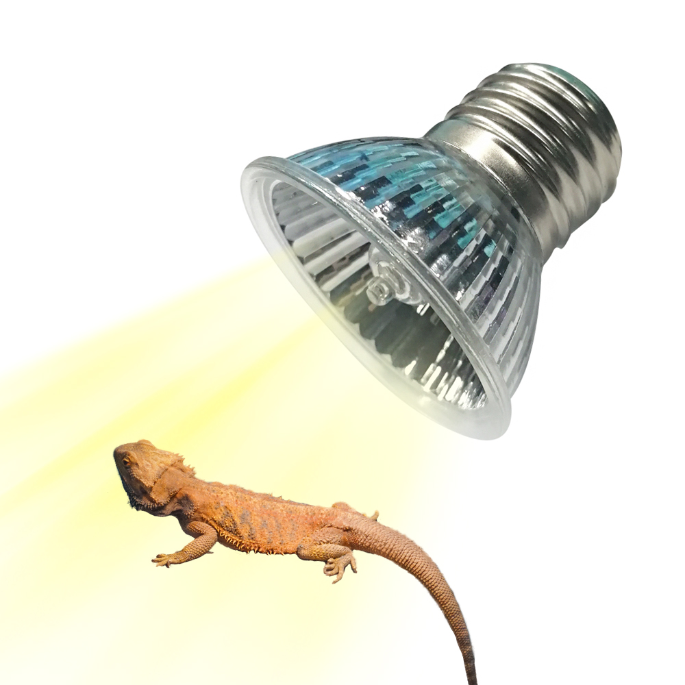25W/75W/100W Full Spectrum UVA - Calcium Powder Reptile recensione e prezzo