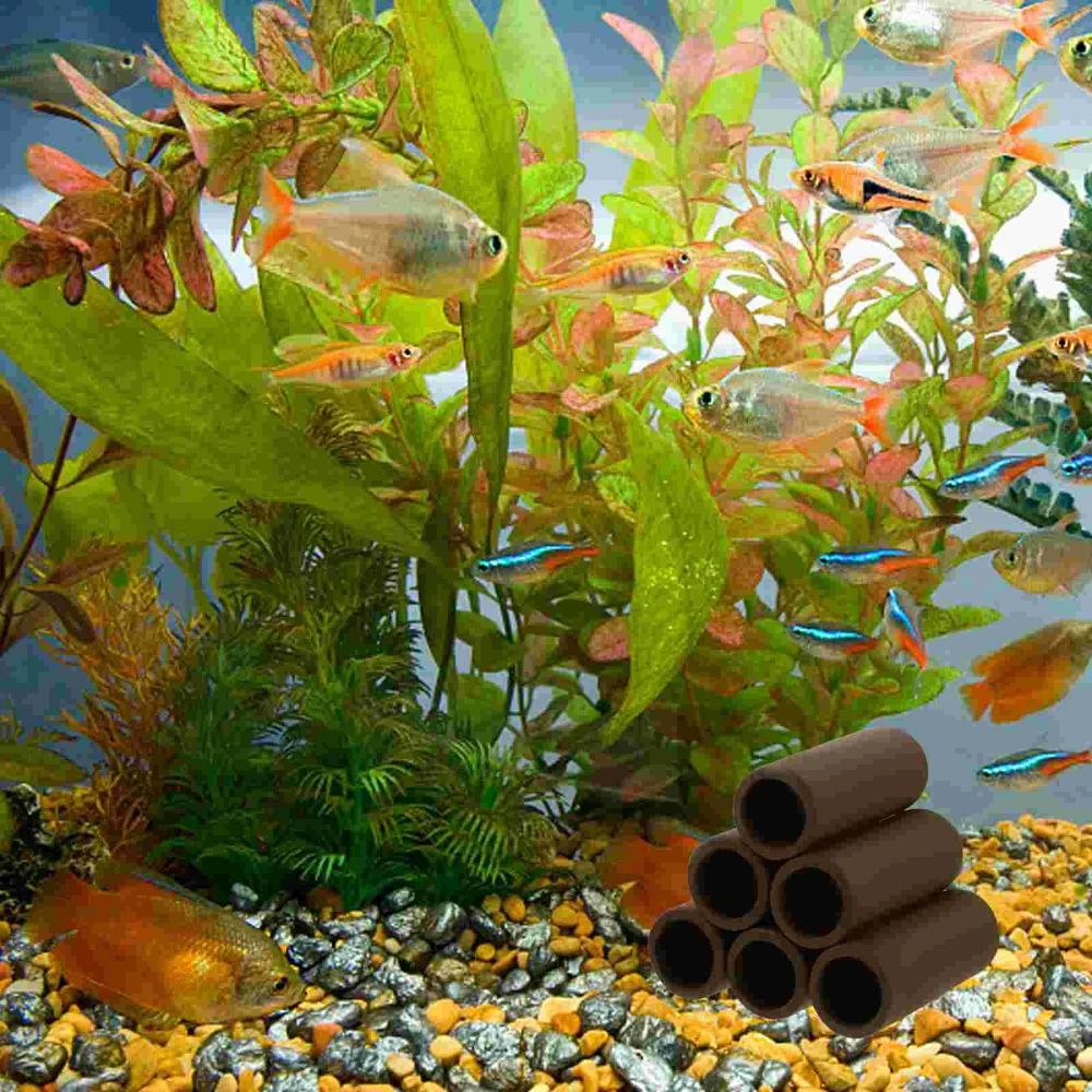 Playing Breeding Spawning Aqua - Hide Cave Ceramic recensione e prezzo