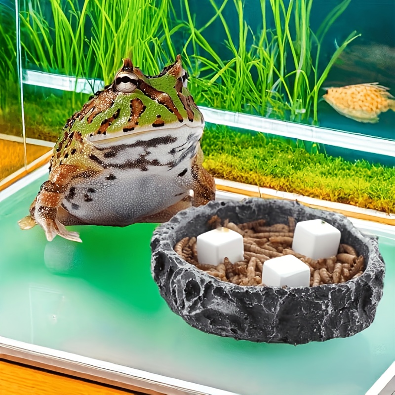 6 Pcs Fish Tank Calcium Block  - Calcium Powder Reptile recensione e prezzo