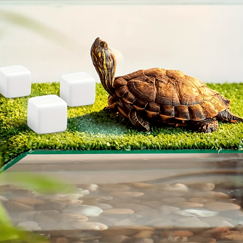6 Pcs Fish Tank Calcium Block  - Calcium Powder Reptile recensione e prezzo