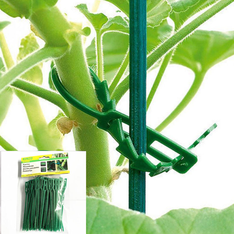 13cm Adjustable Plastic Plant  - Vine Climbing Plastic recensione e prezzo