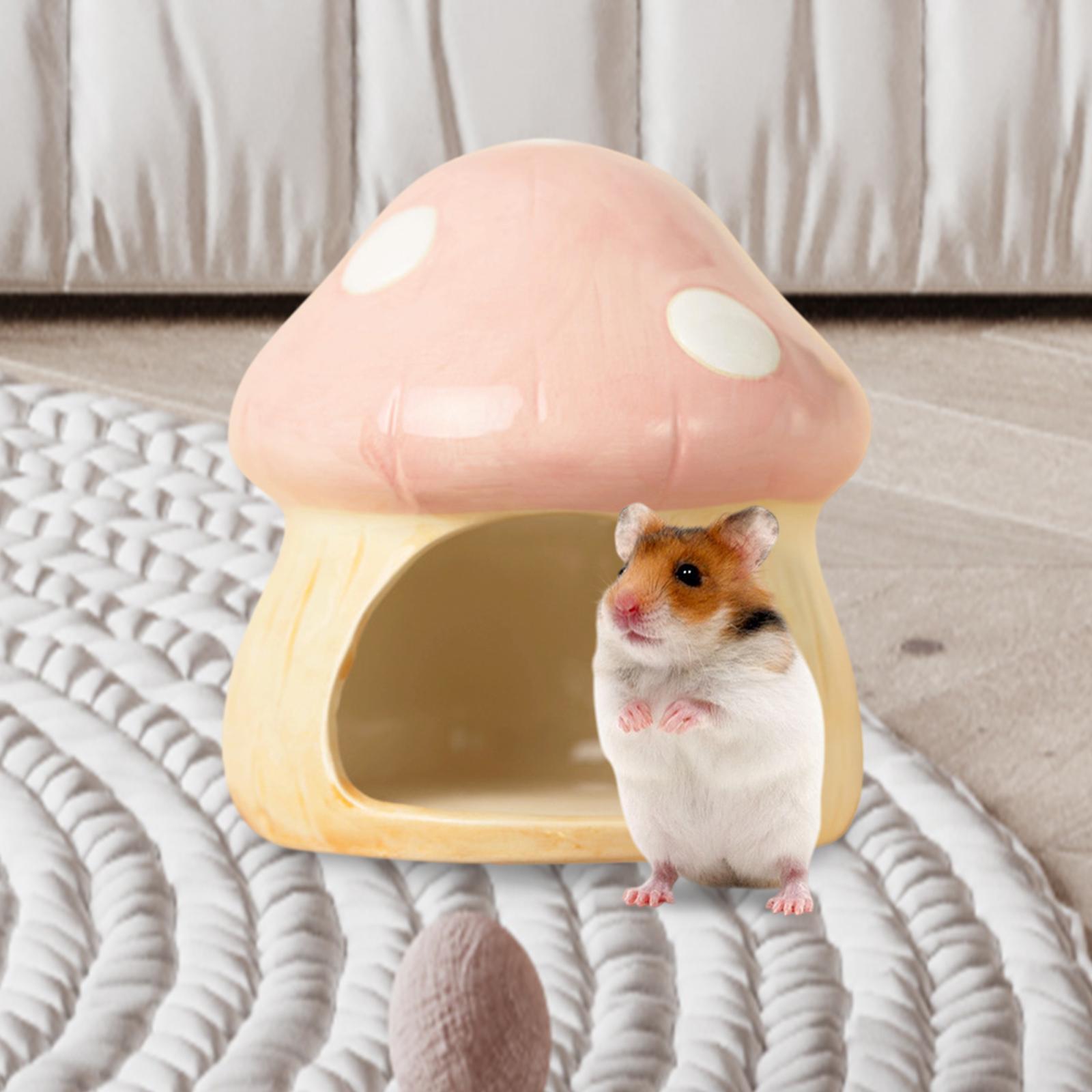 Ceramic Mushroom Hamster Hideo - Hide Cave Ceramic recensione e prezzo