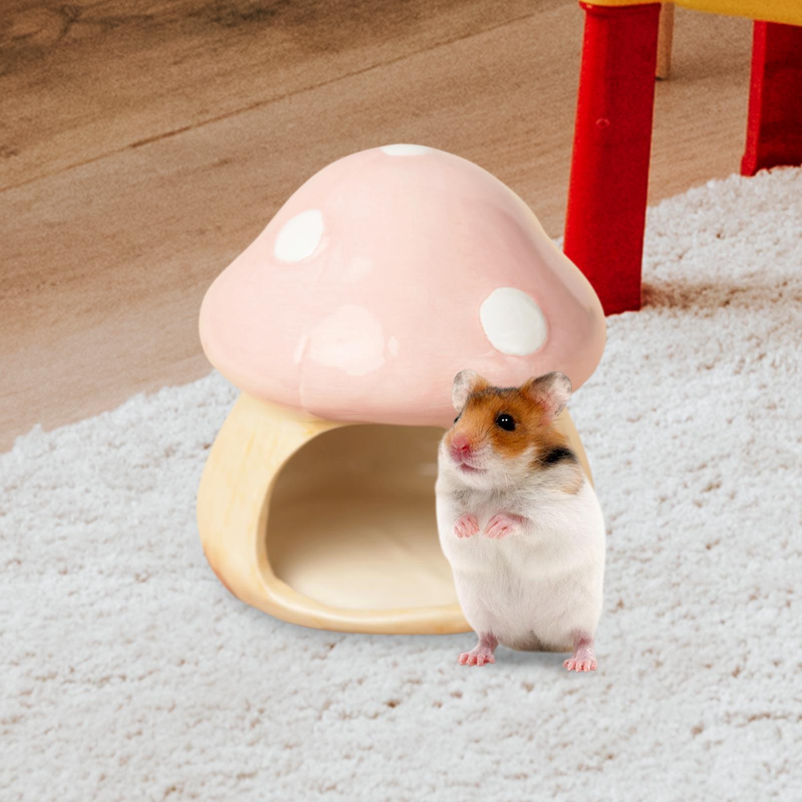 Ceramic Mushroom Hamster Hideo - Hide Cave Ceramic recensione e prezzo