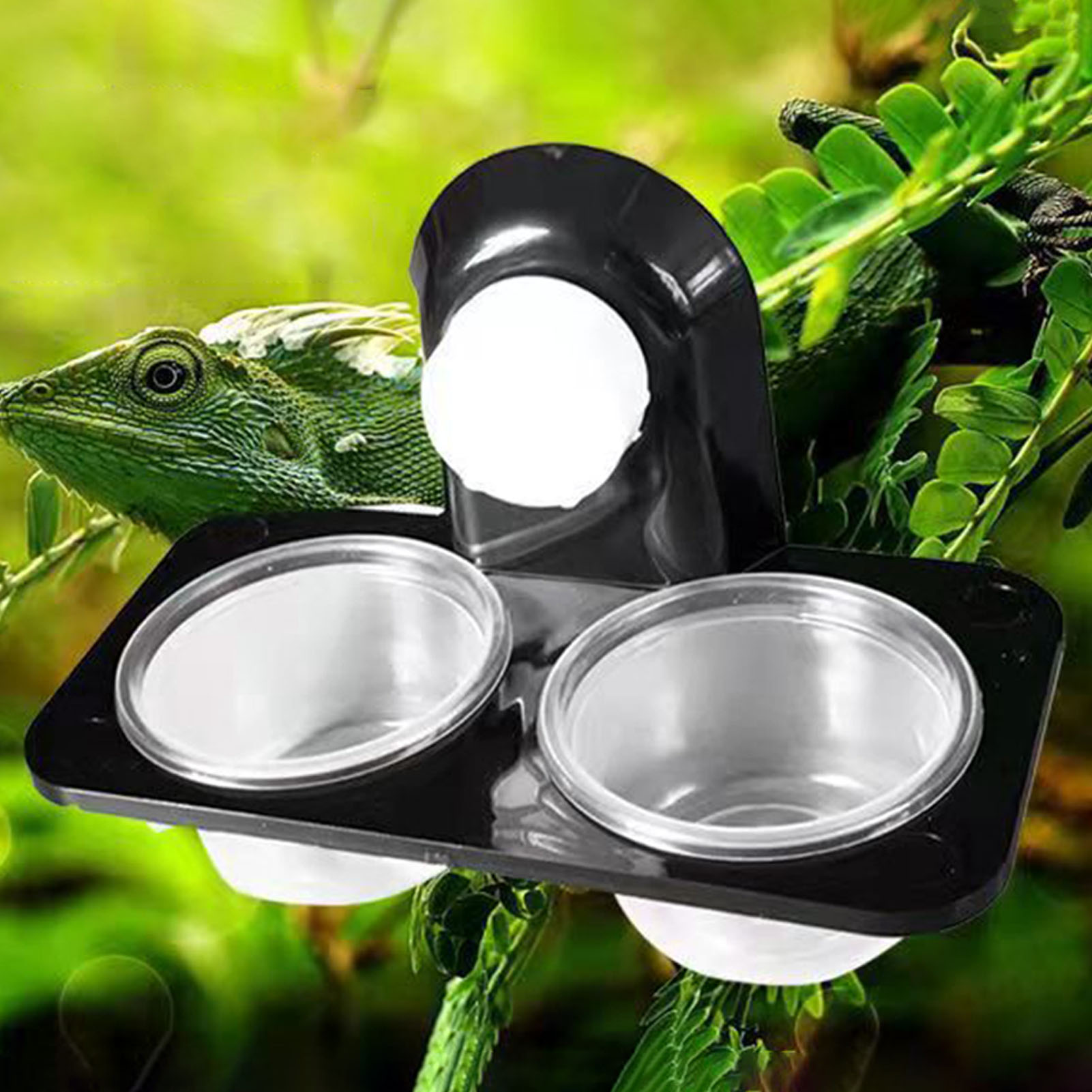 Crested Gecko Feeding Ledge Re - Water Dish Reptile recensione e prezzo